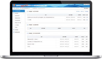 纳税申报系统